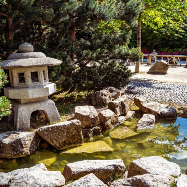 Discovering Colombes: Unveiling the Charms of Hauts-de-Seine