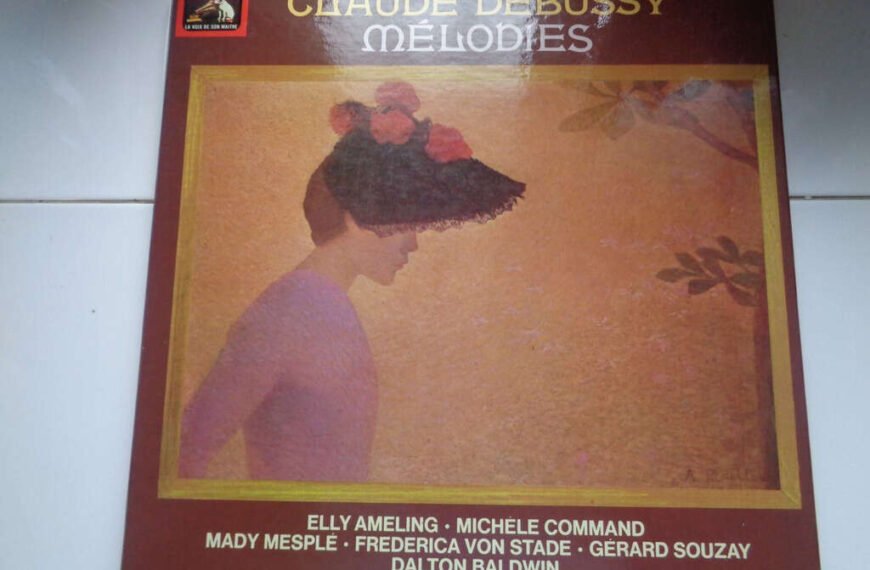 Discovering the Melodies: Exploring Salon-de-Provence's Vinyl Record Convention