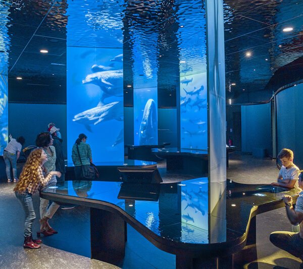 Exploring Cherbourg-en-Cotentin: Unveiling the Marvels of Cité de la Mer