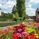 Exploring Haguenau: A Culinary Triumph and Community Spirit in Alsace