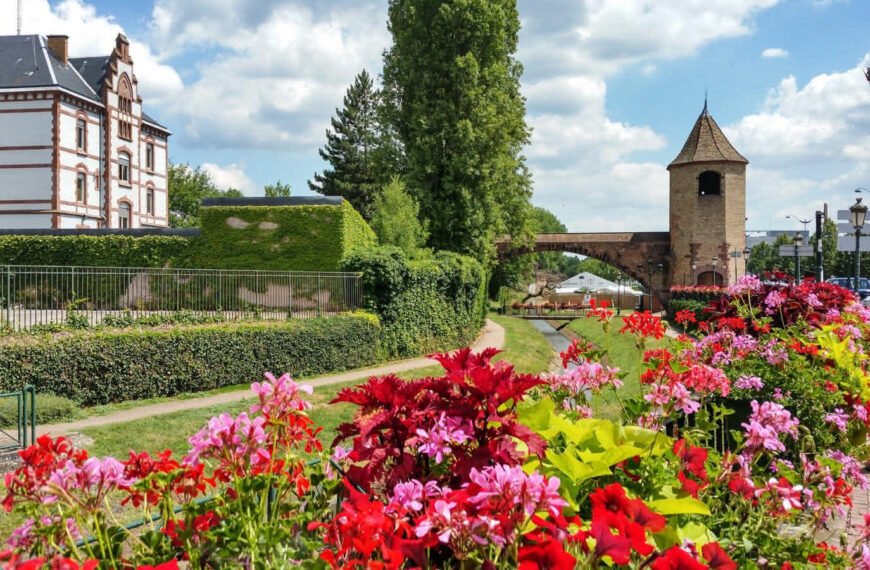 Exploring Haguenau: A Culinary Triumph and Community Spirit in Alsace