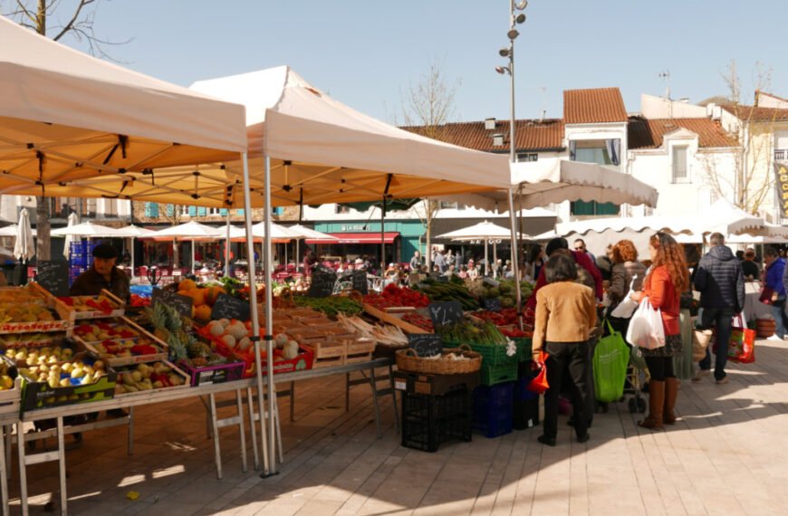 Exploring Mont-de-Marsan: Unveiling the Charms of a French Market Town