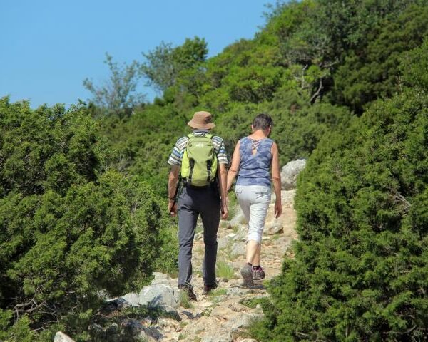 Exploring the Trefoil Bitumen Region: A Gourmet Hiking Experience in Aubagne, Provence-Alpes-Côte d'Azur