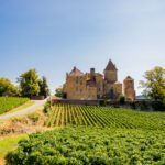 Exploring the Wonders of Mâcon: A Journey through Southern Burgundy