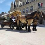 Uncover the Charms of Charleville-Mézières: An Unforgettable Carriage Ride Experience