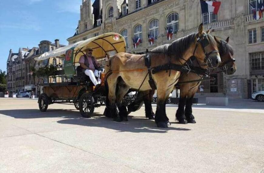 Uncover the Charms of Charleville-Mézières: An Unforgettable Carriage Ride Experience